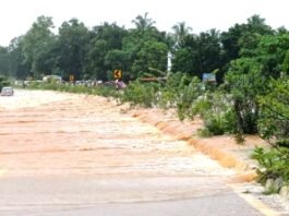 heavy-rains-disrupt-life-in-goa-and-sindhudurg