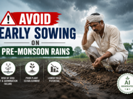 avoid-early-sowing-on-pre-monsoon-rains